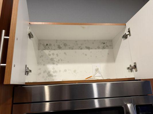 Kitchen cabinets full of microbial growth.