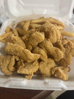 Journey Fish Chicken Gyros