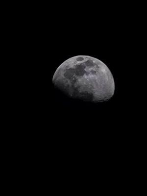 Carmen Medina Photography