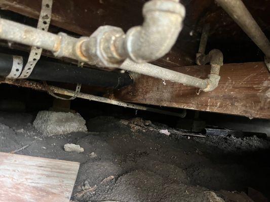 Pacific Property Inspectors