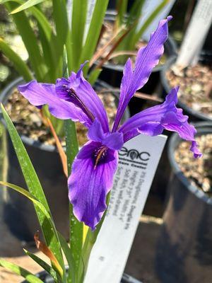 Environmental Nature Center