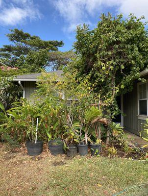 Jennifer Randall - Home Smart Fine Homes and Land