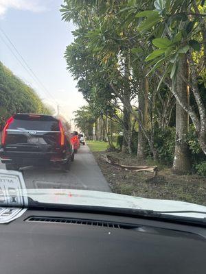 Somerset Academy Dade