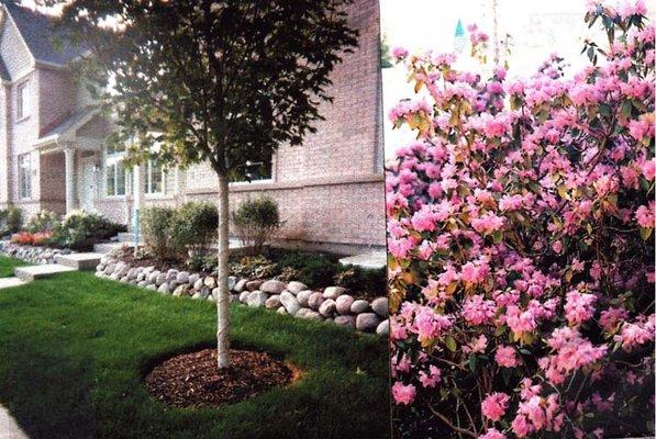 Casey Landscaping