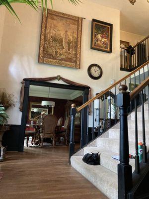 Montiart paint and designs