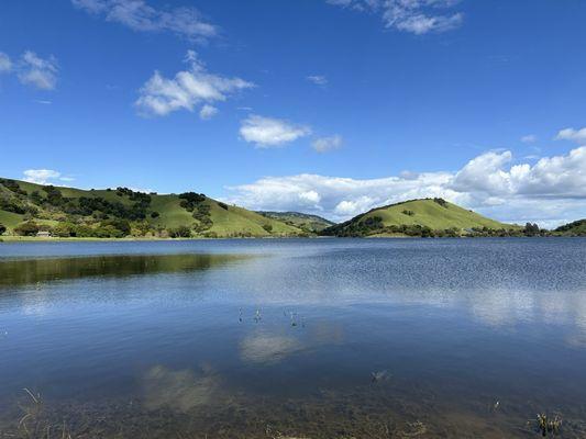 Stafford Lake Disc Golf Course