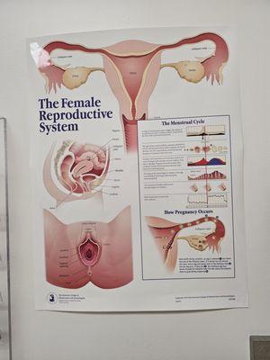 Marin Community Clinics