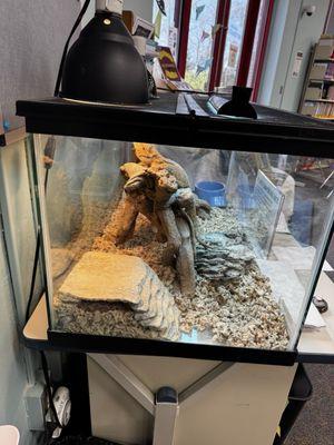 Wolcott Public Library