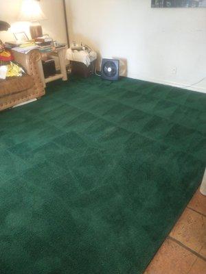 Gold Canyon Floor Cleaning