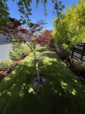 Bay Area R Landscape