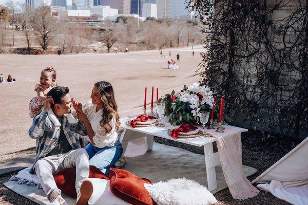 Houston Picnics By Deb