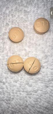 Montclair Animal Clinic