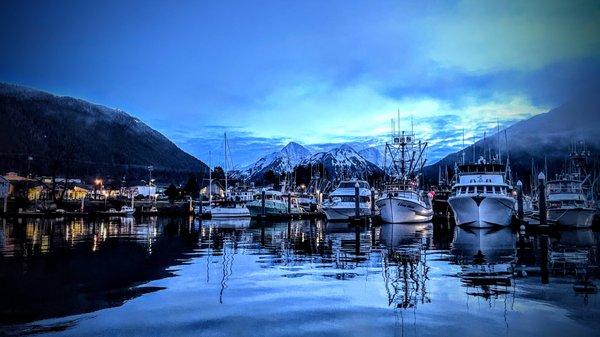 View from the harbor where we depart