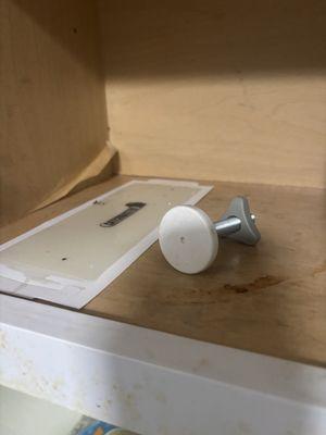 Sticky mouse trap with dead bugs on it in the cabinet