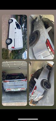 Mobile Splashing Taz