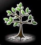 Cholangiocarcinoma (liver cancer)