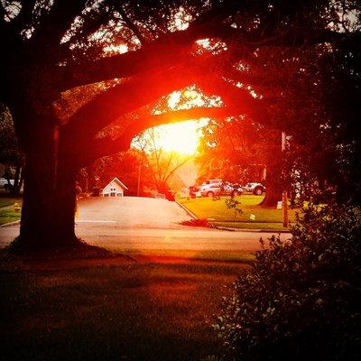 JDH Commercial Realty, LLC