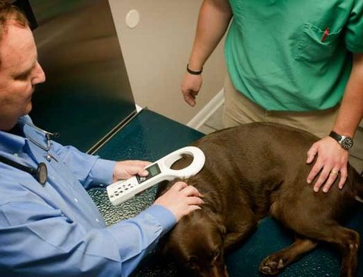 East University Veterinary Hospital