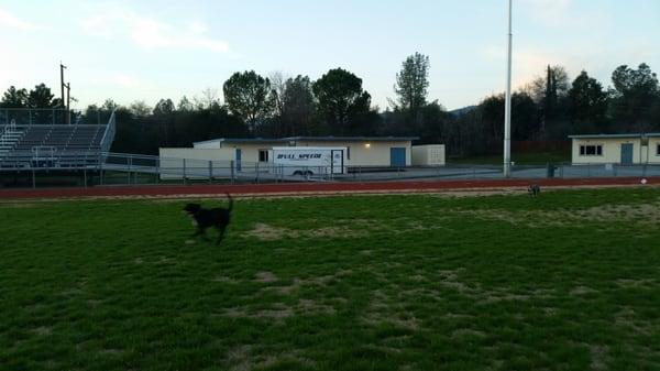 Central Valley High School