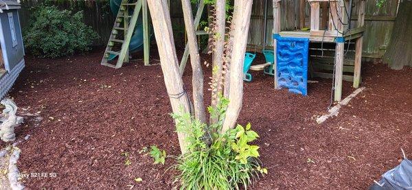 Mikes Handyman Services