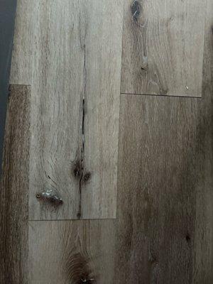 Multi-South Management Service