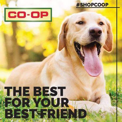 Although Co-ops are farmer-owned, our stores are open for everyone to shop -- as well as for farmers of all kinds!