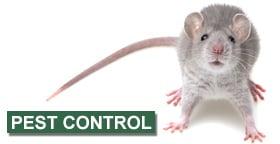 Grenier's Pest Control