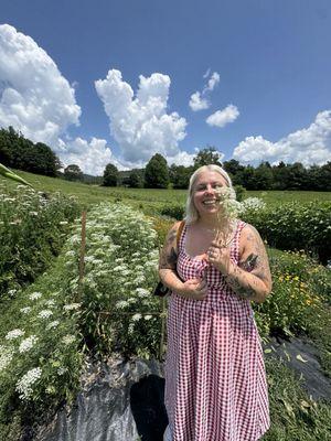 The Never Ending Flower Farm