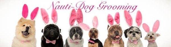 (352)422-7204 Nauti-Dog Grooming