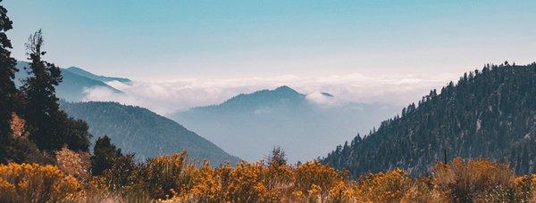 303 Insurance Brokers