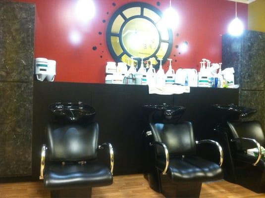 D Ambience Salon
