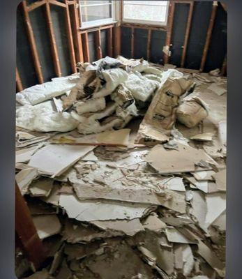 Solorio Greenscape and Hauling