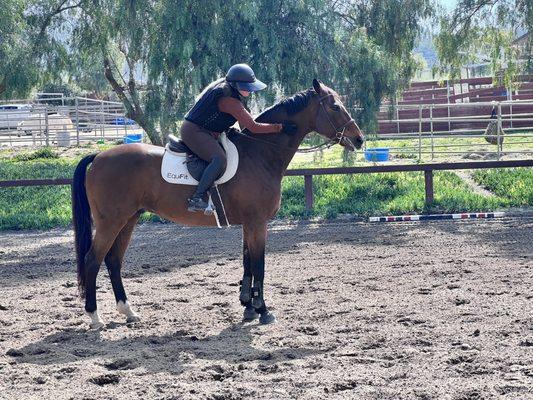 North Haven Equestrian