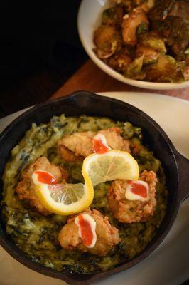 Twisted Oyster Rock-a-Fella