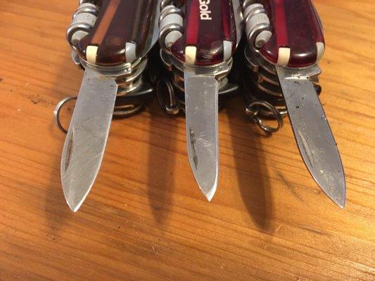 There isn't much left is there