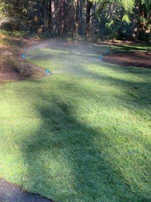 Green Life Landscaping