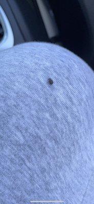 Red Roof Inn St Clairsville - Wheeling West