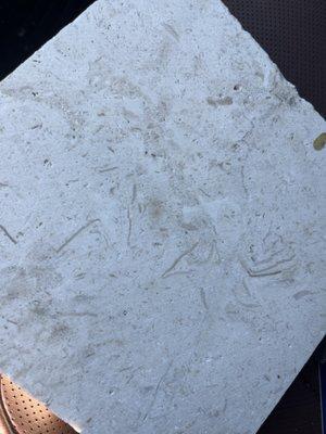 Wholesale Tile Supply