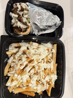 Gyro sandwich and Greek fries