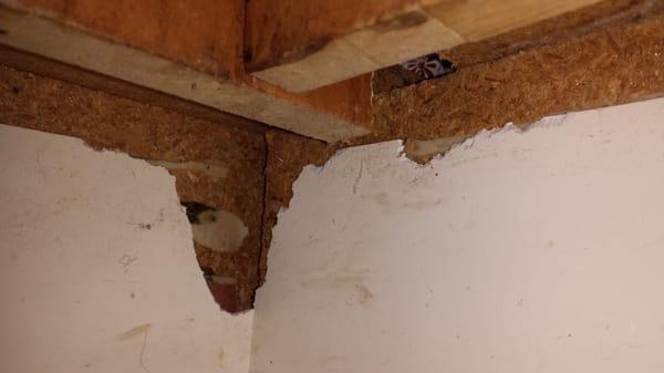 Marvin Gardens Apartments