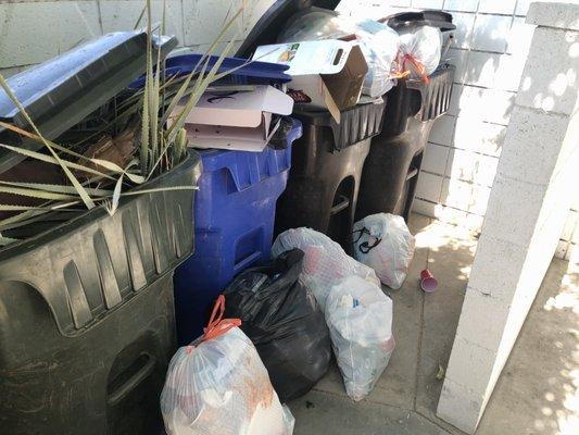 They had all the bins filled with construction debris