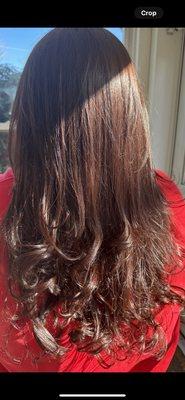 Carmen's Hair Styles