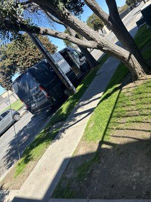 The Gardens On Arlington