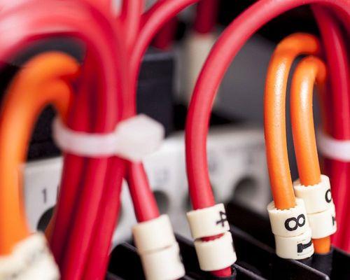 Moss Pro Electric House