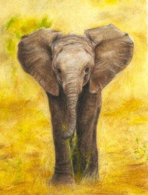 Kiley, Age 13, Pastel