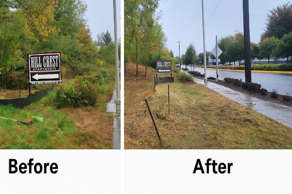 High Quality Tree Service