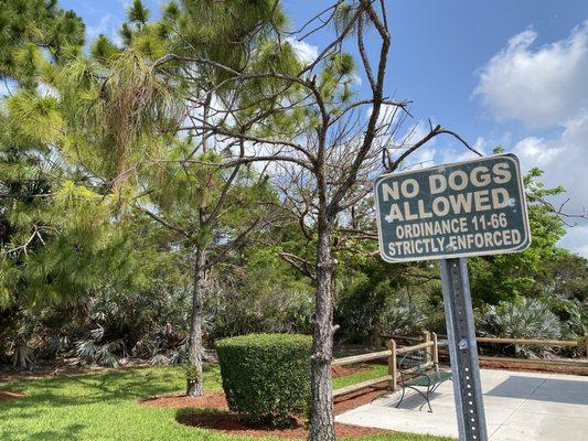 Blazing Star Nature Preserve