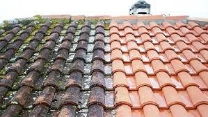 Delray Beach Roof Cleaning