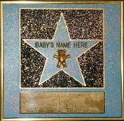 Gift of Fame Enterprises