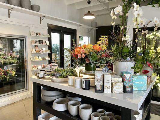 Lollia Blooms Floral Design